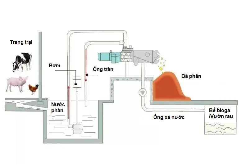 Mô hình xử lý sử dụng máy tách phân