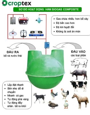 Sử dụng hầm Biogas xử lý chất thải trong chăn nuôi