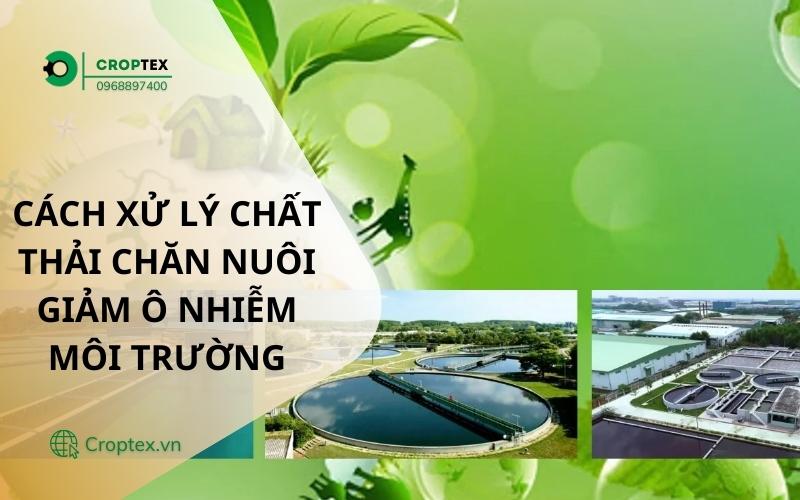 Cách Xử Lý Chất Thải Chăn Nuôi Giảm Ô Nhiễm Môi Trường