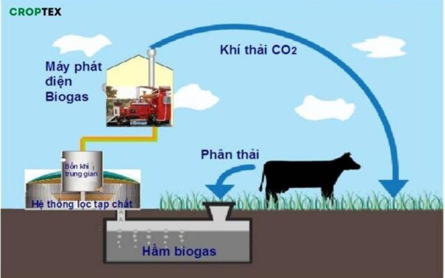 Sử dụng hầm biogas để xử lý chất thải