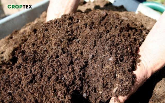 Ủ phân compost