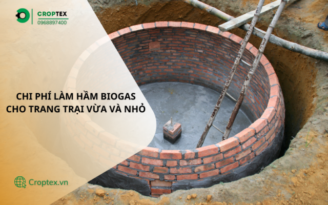 Chi phí làm hầm biogas