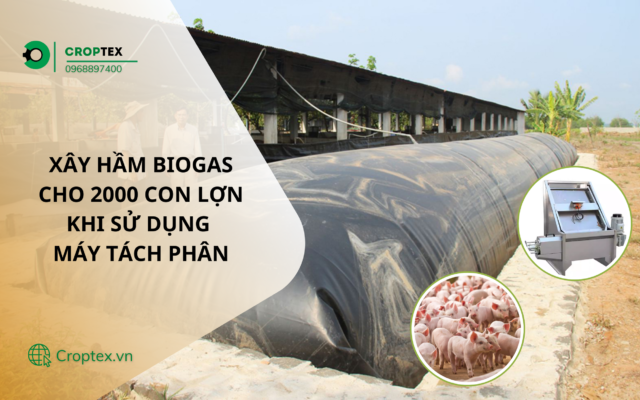 Xây hầm biogas