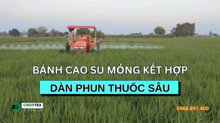 Ứng dụng máy móc hiện đại hỗ trợ chăm sóc lúa hè thu