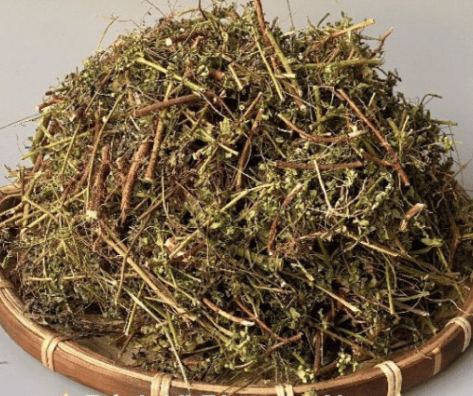 dược liệu sấy bằng máy sấy lạnh croptex