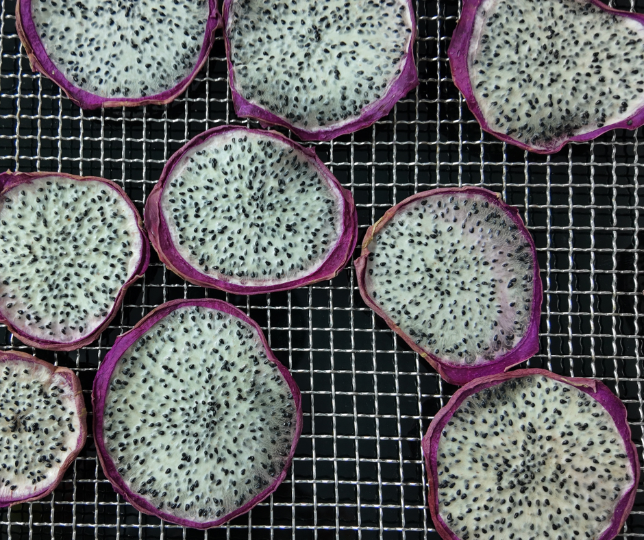 thanh long sấy bằng máy sấy lạnh croptex