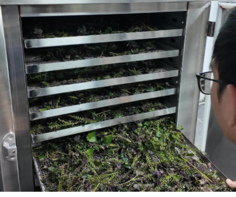 Ứng dụng máy sấy lạnh – Trái cây và nông sản sấy bằng máy sấy lạnh Croptex giữ nguyên màu sắc và dưỡng chất