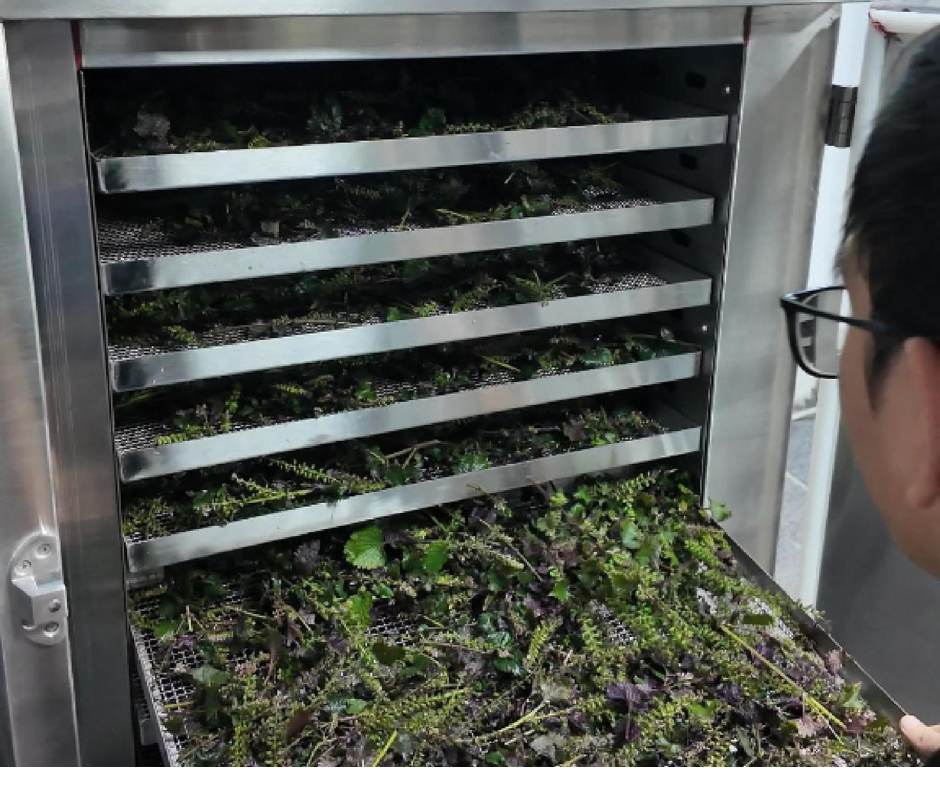 Ứng dụng máy sấy lạnh – Trái cây và nông sản sấy bằng máy sấy lạnh Croptex giữ nguyên màu sắc và dưỡng chất Ứng dụng máy sấy lạnh – Trái cây và nông sản sấy bằng máy sấy lạnh Croptex giữ nguyên màu sắc và dưỡng chất